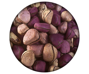 ingredient brulafine noix de kola