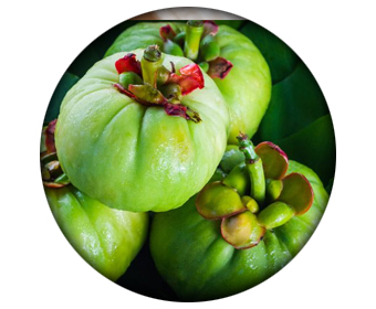 ingredient clenbutrol crazy bulk garcinia cambogia