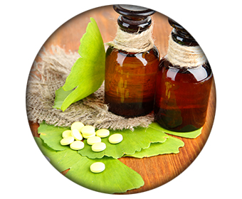 ginkgo biloba hormone de croissance
