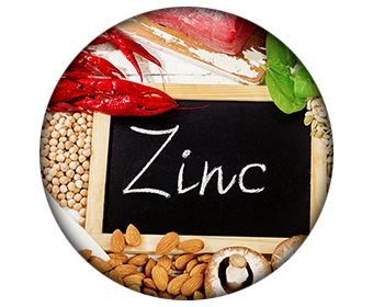 zinc hormone de croissance