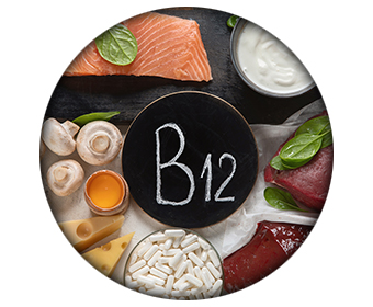 vitamine b hormone de croissance