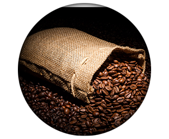 ingredient phen24 jour cafeine