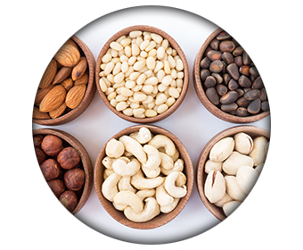 ingredient phen24 jour manganese