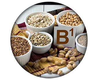 ingredient phen24 nuit b1