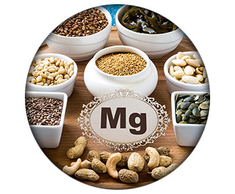 ingredient phen24 jour magnesium