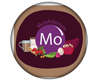 ingredient phen24 nuit molybdene