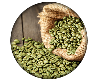 cafe vert ingredient capsimax burn