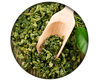 the vert ingredient capsimax burn