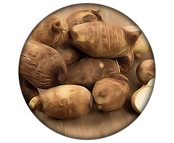 racine igname ingredient anvarol