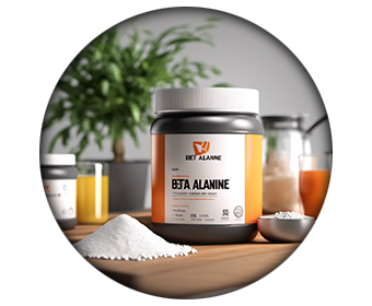 beta alaline nitric max ingredient