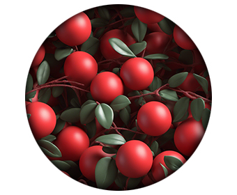baie aubepine nitric max ingredient