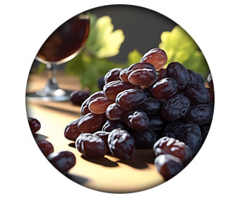 extrait de raisin nitric max ingredient