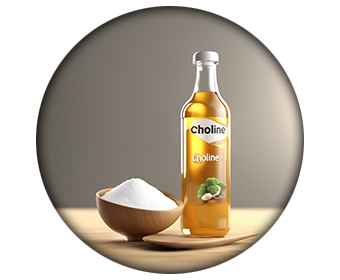 choline ingredient winsol