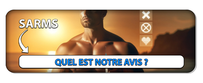 article nino avis sur les sarms
