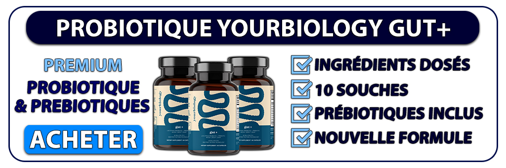 yourbiology gut 2