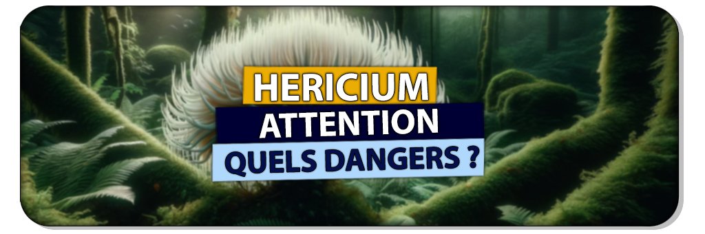 hericium dangers