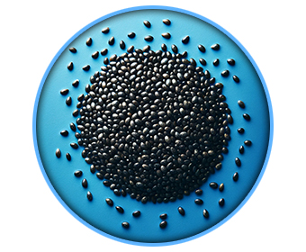 graines de chia
