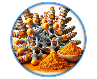 curcuma curcumine