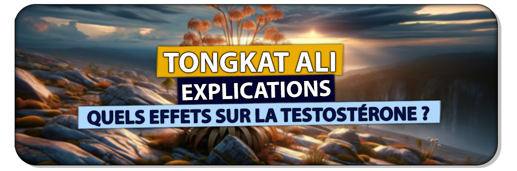 tongkat ali testosterone