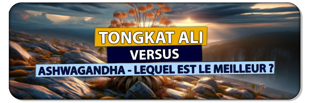 tongkat ali versus ashwagandha