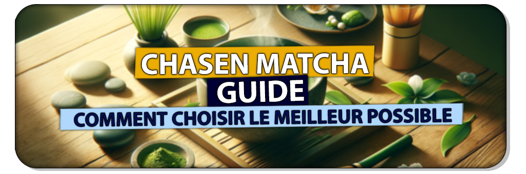 guide achat chasen