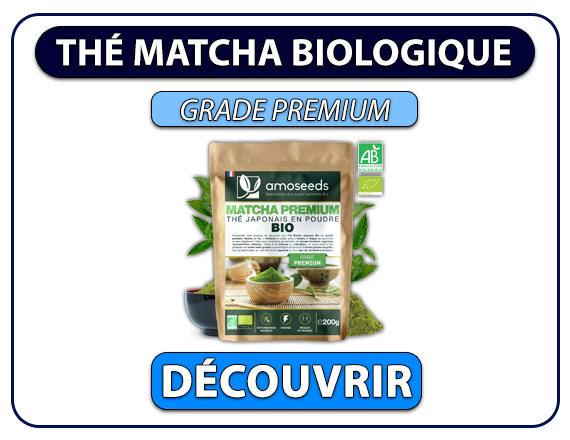 matcha premium amoseeds petit