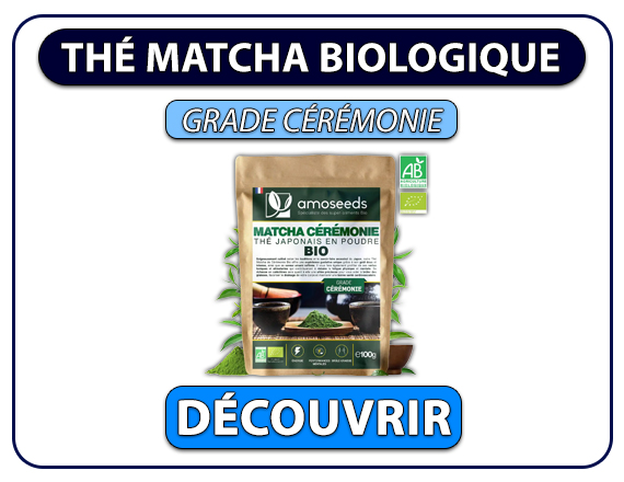 matcha ceremonie amoseeds petit