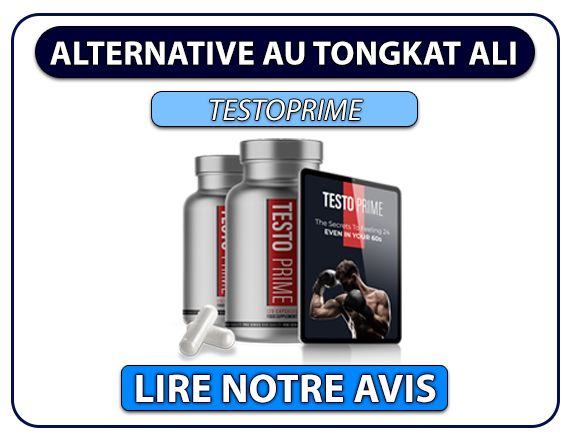 Lire notre avis sur TestoPrime