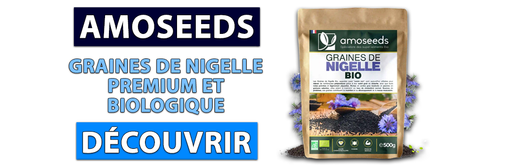 graines de nigelle amoseeds 1