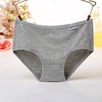 New-Plus-Size-Underwear-Women-Sexy-Panties-Briefs-Girls-Lingeries-Calcinhas-Shorts-Solid-Underpant-For-Women