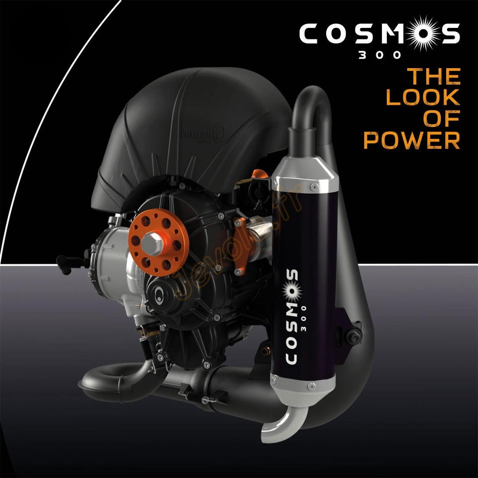 moteur-vittorazi-cosmos-300-kangook-chariot