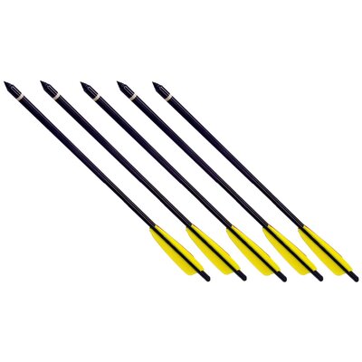 Lot 5 flèches traits aluminium 43,5cm pour arbalète