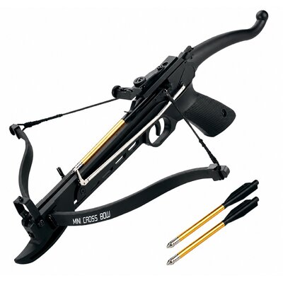 Mini arbalète pistolet 80 lbs noire avec flèches en aluminium, arbalète compacte puissante pour tir de précision