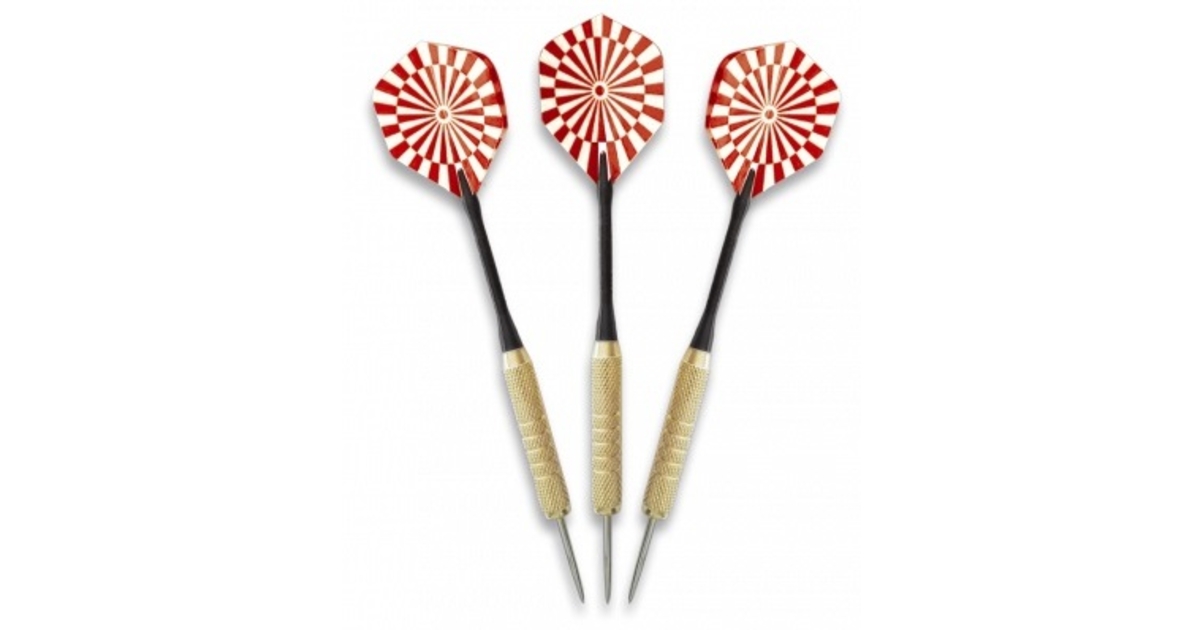 Toutes Nos Flechettes Pointes Acier Ou Darts Trationnelles En Photo (1