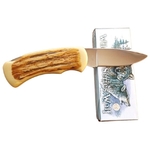 Couteau Loup collection pliant