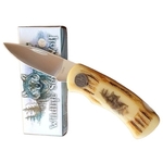 Couteau Loup collection pliant wolf 18cm