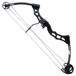 ARC COMPOSITE 60-65 LBS VERSION CARBONE