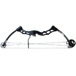 ARC COMPOSITE 60-65 LBS CARBONE
