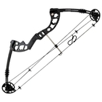 ARC COMPOSITE À POULIES 40-55 LBS