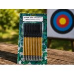 Pack de flèches aluminium pour arbalète pistolet devant une cible de tir extérieure