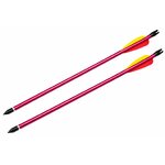 Deux traits aluminium pour arbalète Extreme Crossbow 150 lbs
