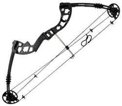 12 Cames De Tir à L'Arc Composites - Taille 4.2mm - Idéales Pour Arcs - Fabriquées En Chine
