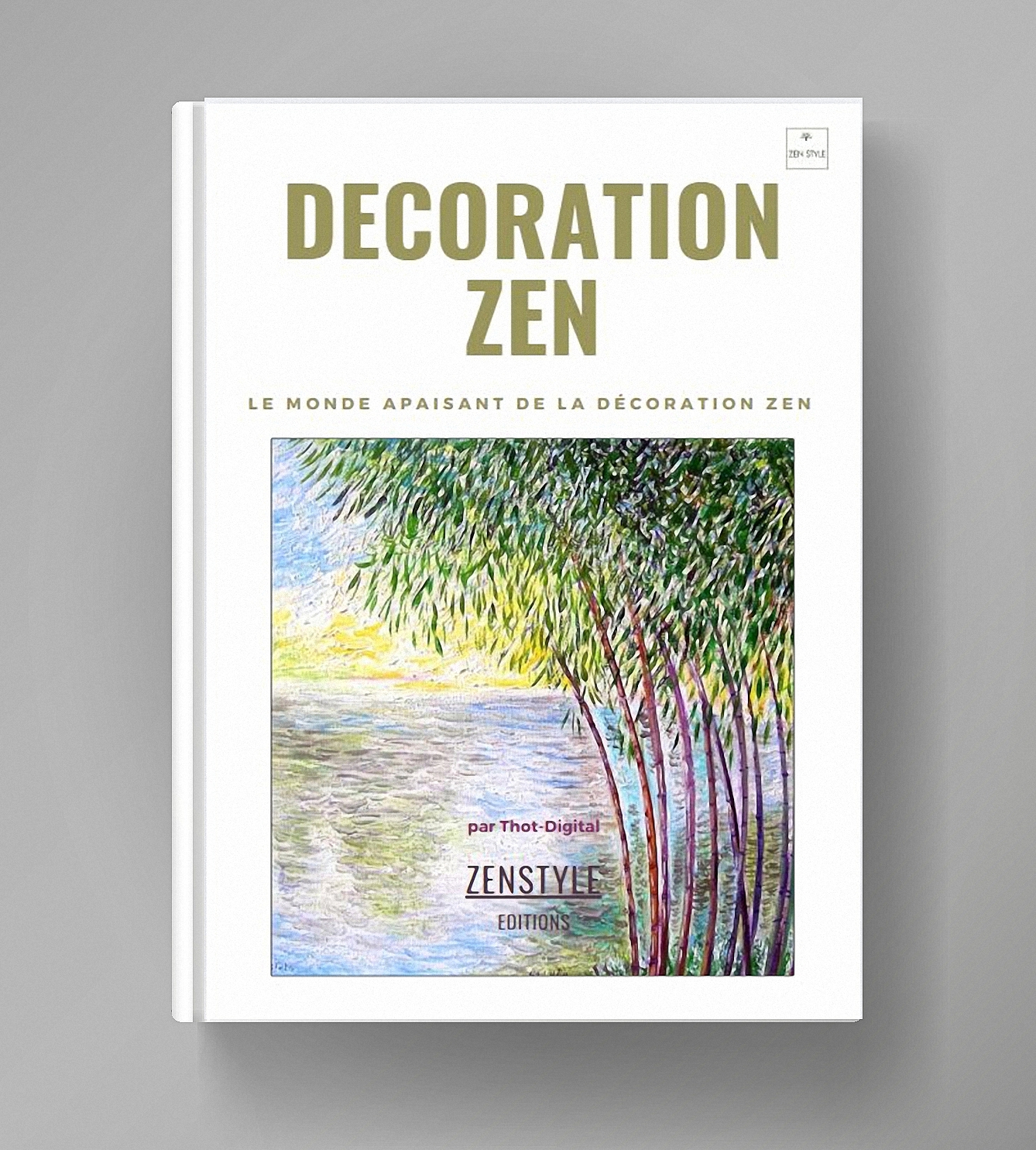 e-book decoration zen fond gris c8