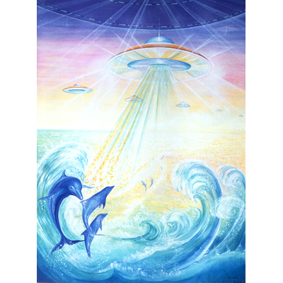 toile meditation dauphins lumiere reproduction ellhea