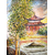 temple zen wizi