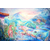 oiseaux merveilleux peinture ellhea