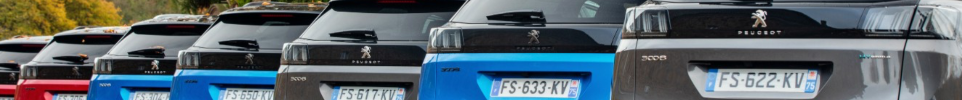 bannière-valises-diagnostic-compatibles-peugeot