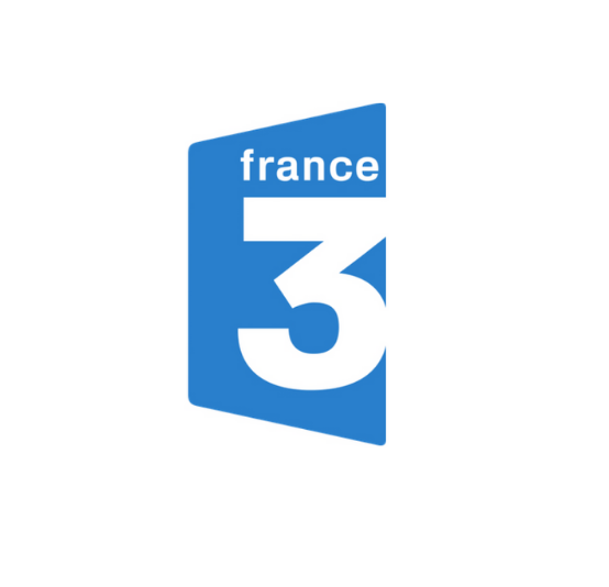 icarsoft france est sur france 3 bourgogne specialiste diagnostique auto moto pl pro et particulier