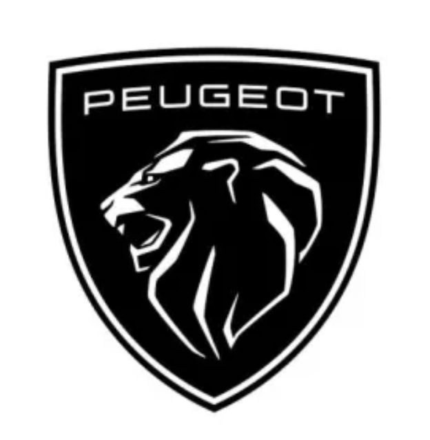 logo peugeot icarsoft v1