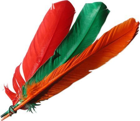 plume-indien